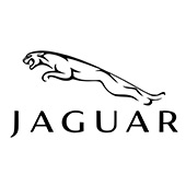 Jaguar of Palm Beach - Jaguar Logo